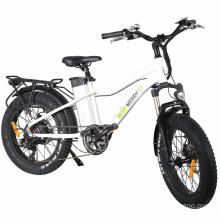 Chinese Fat Tire Electric Mountain Sport Bike